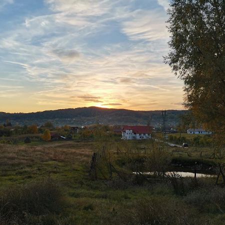 Apartmán Casa Kotys Albestii Paminteni Exteriér fotografie