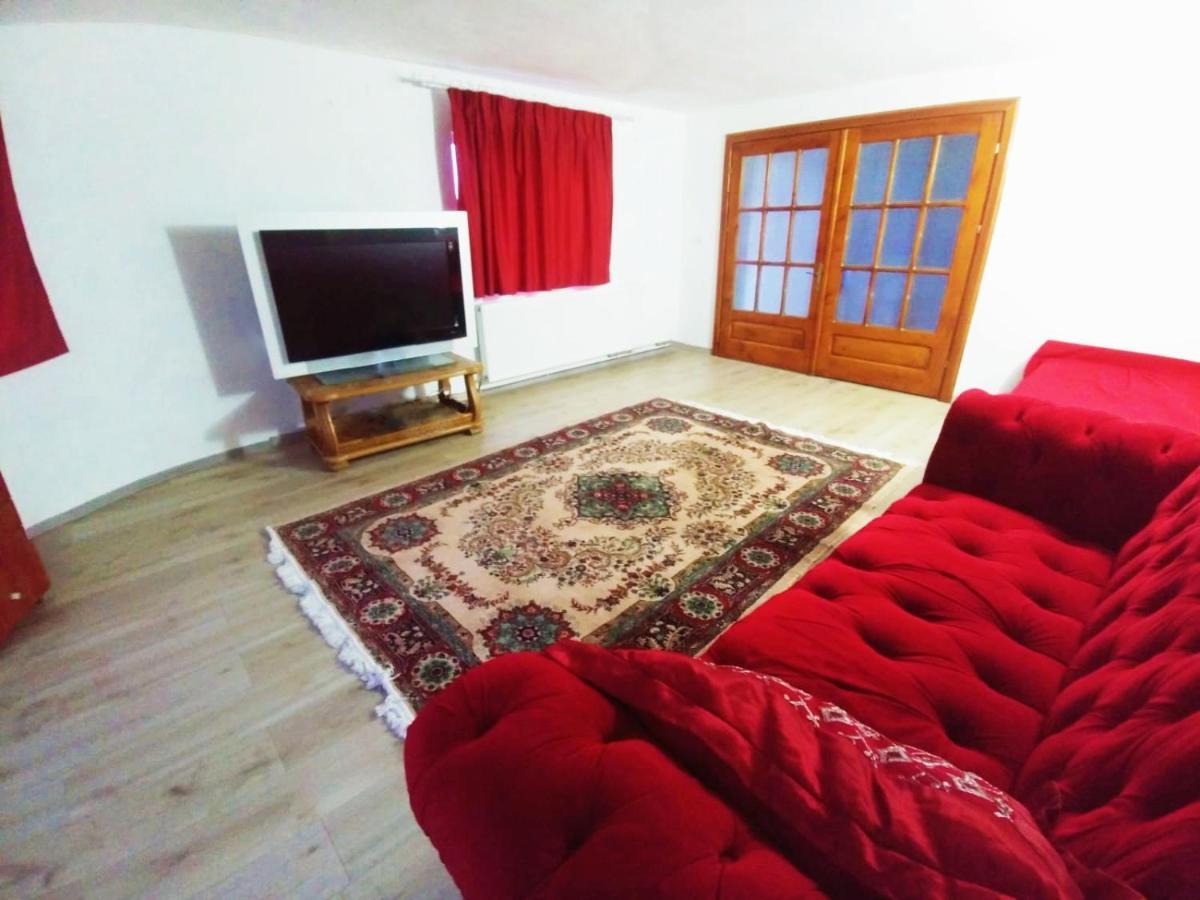 Apartmán Casa Kotys Albestii Paminteni Exteriér fotografie