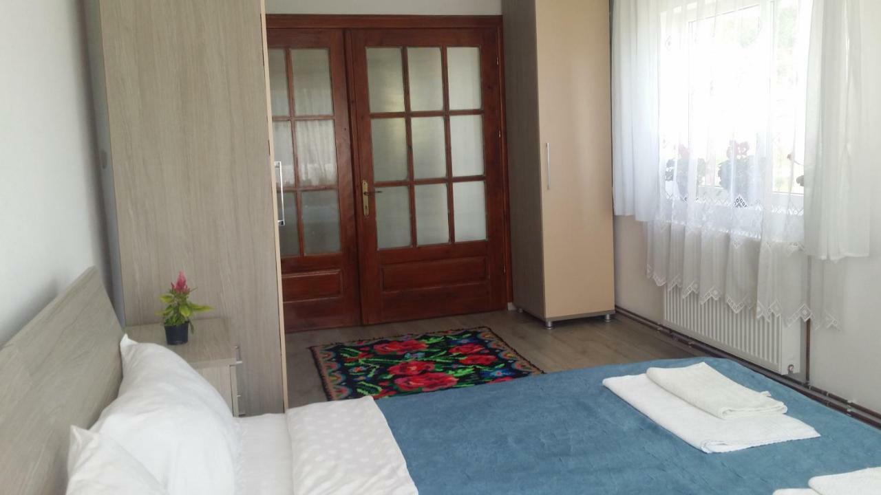 Apartmán Casa Kotys Albestii Paminteni Exteriér fotografie